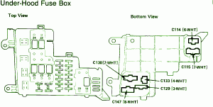 1989 Honda Accord LX Fuse Box Diagram